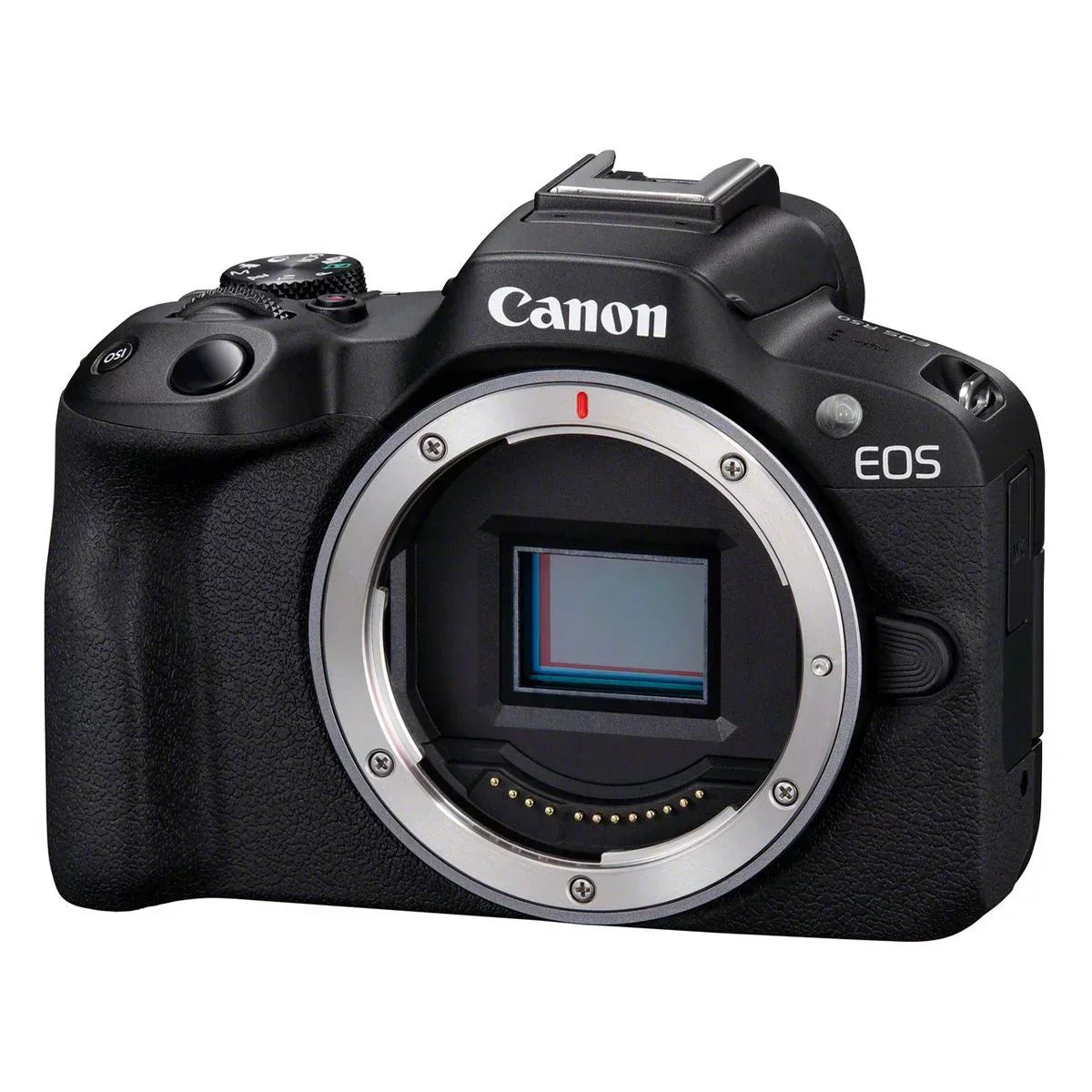 Canon EOS R50 black + Rf-s 18-45 Is Stm + Rf-s 55-210mm Is Stm